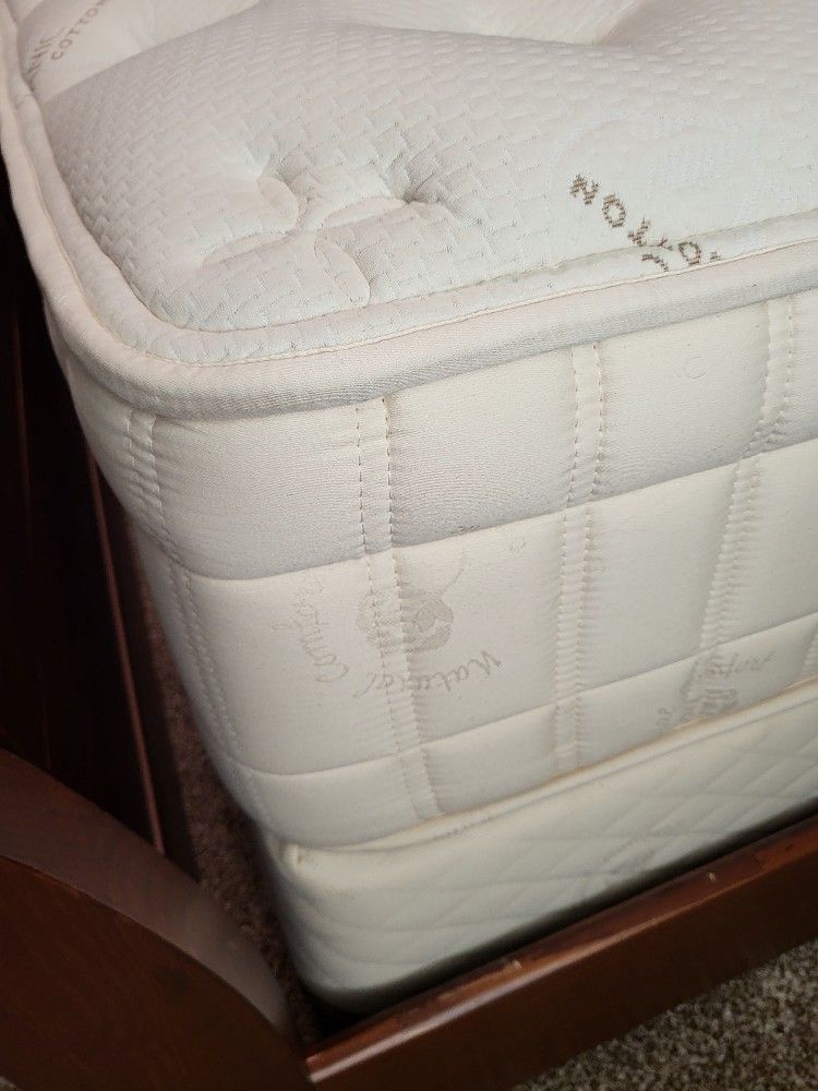 King Mattress & Box Spring - Aireloom Solitaire Plush Organic
