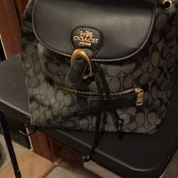 Coach Bag 