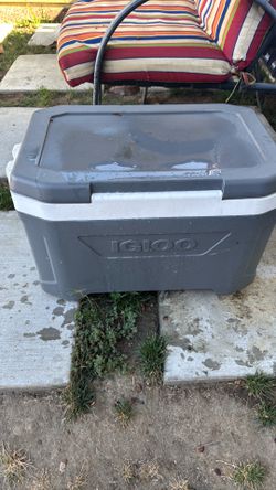 Igloo cooler