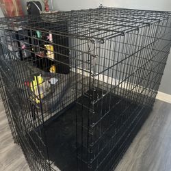 XL Double Door Dog Crate