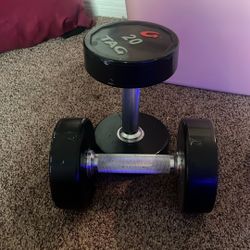 20lbs Weights