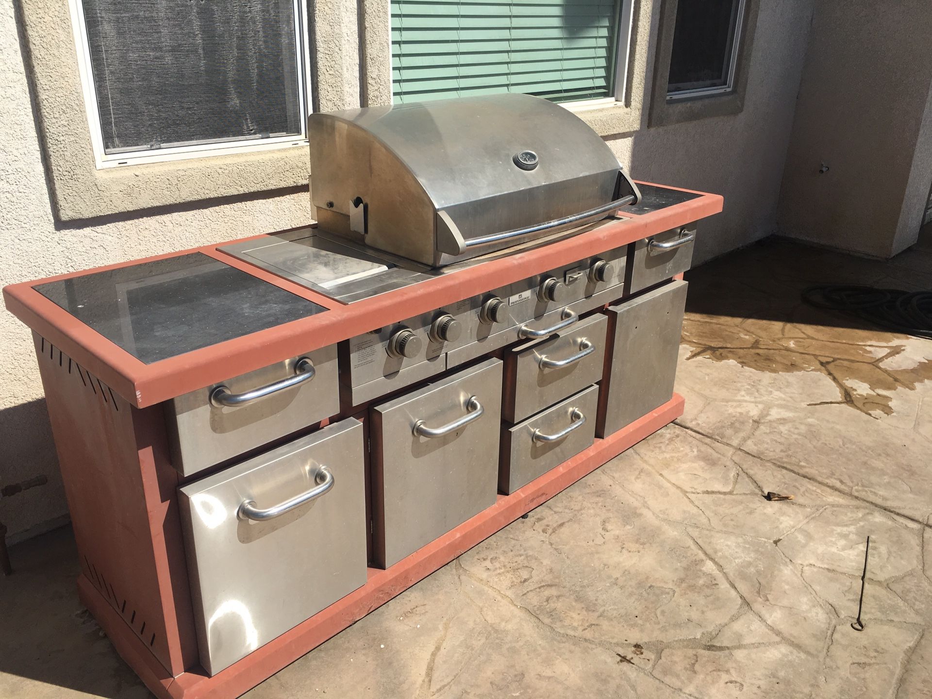 Members Mark Professional Grill