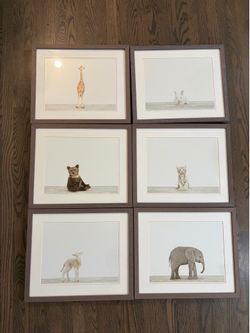 Baby animal prints.