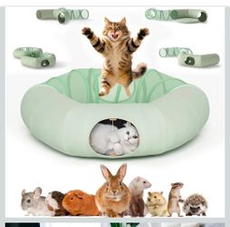 Cat Tunnel
