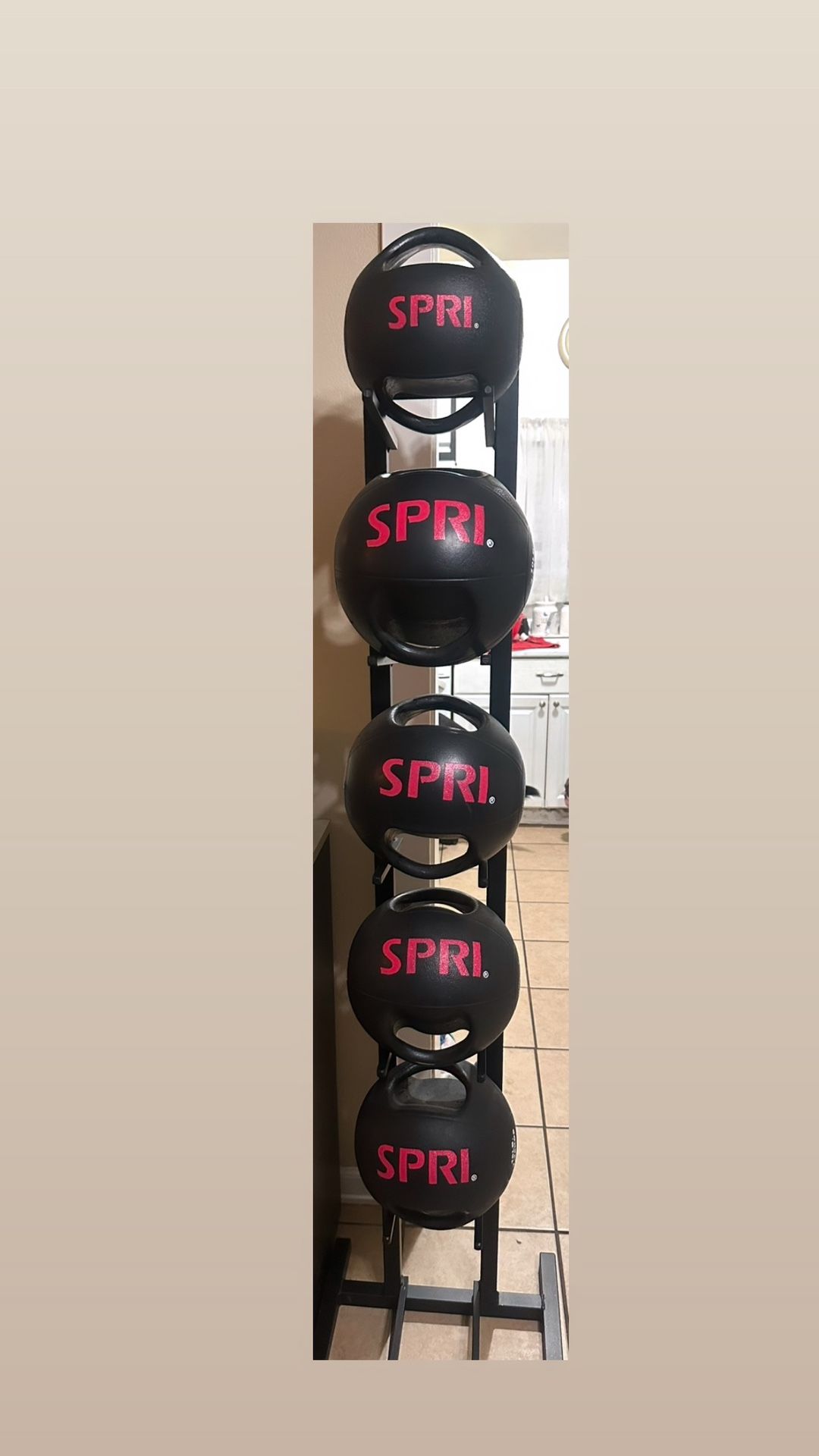 SPRI Medicine Balls & Rack for Sale in Monrovia, CA - OfferUp