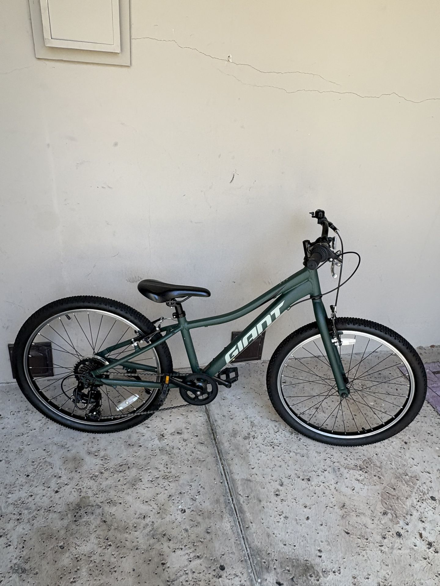 Giant XTC 24 inch Mountain Bike (Boys or Girls)-Ready To Ride