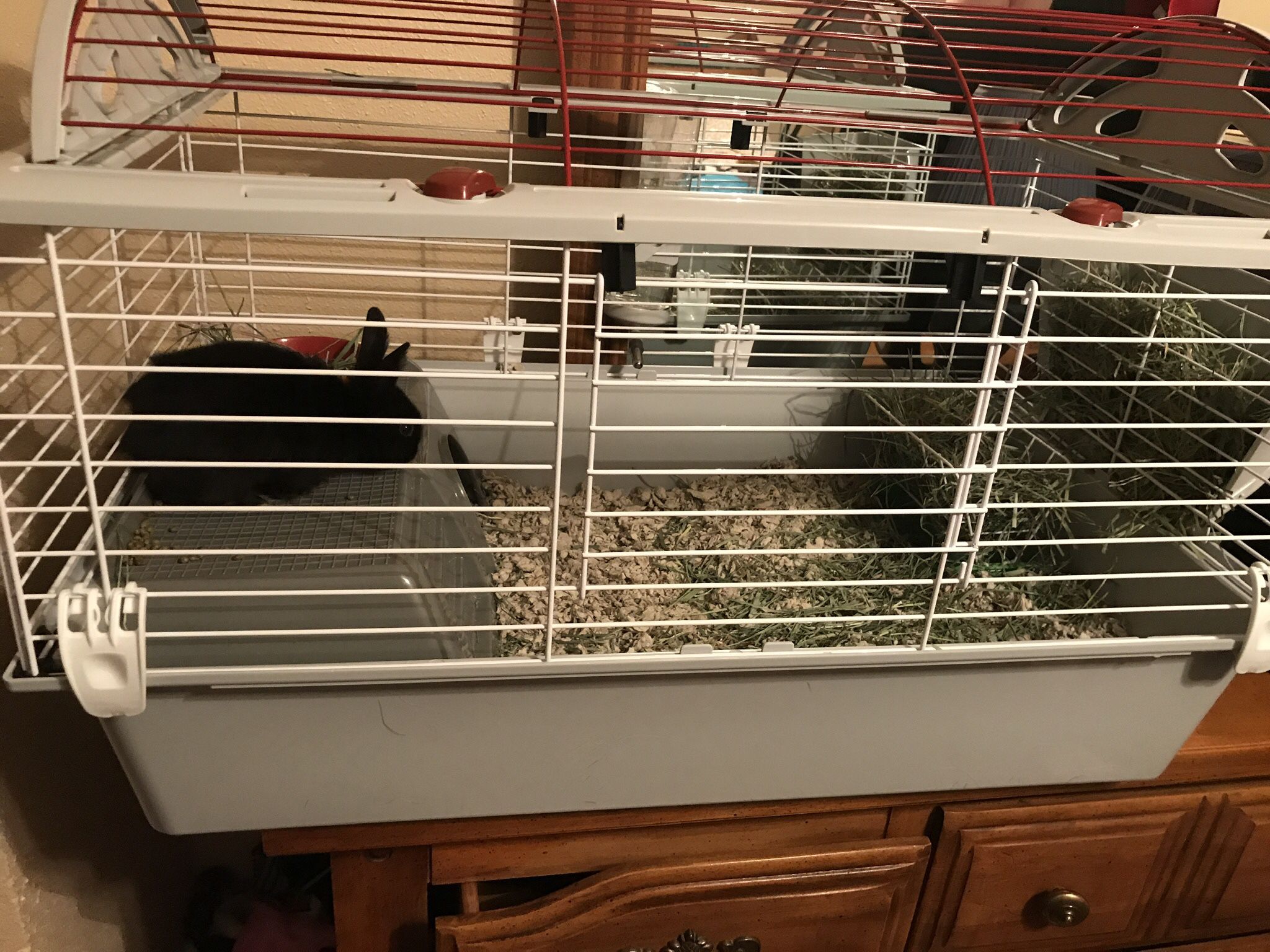 Bunny/Small Pet Cage 