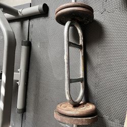 Curl Bar