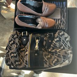 Shoes And Purse 