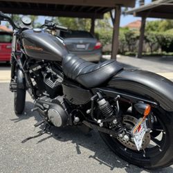 2019 Harley Davidson Iron XI883n sportster OBO