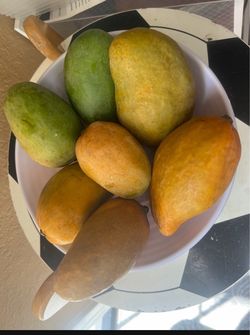 Mango organic pick up fresh