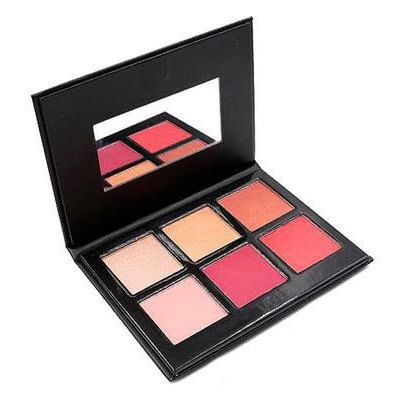 GO2 Beauty Exposed Blush Pallet