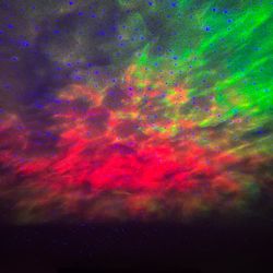 Sky 2.0 Lite - Star Projector 