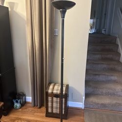Tall Floor Light 