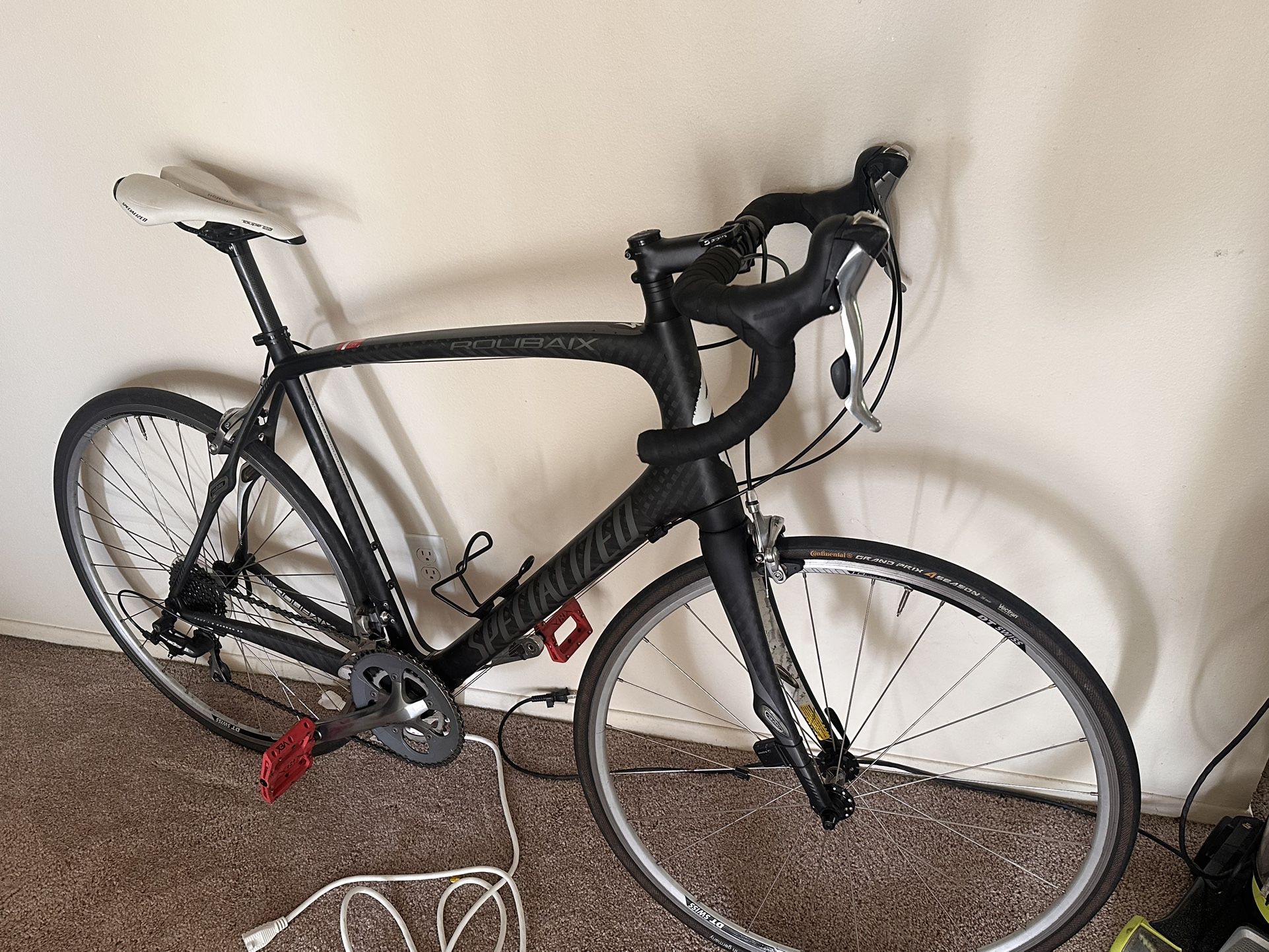 Specialized Carbon Fiber Large