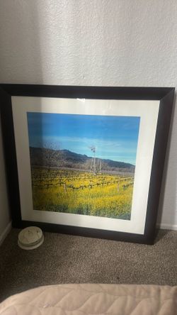 Wall pic