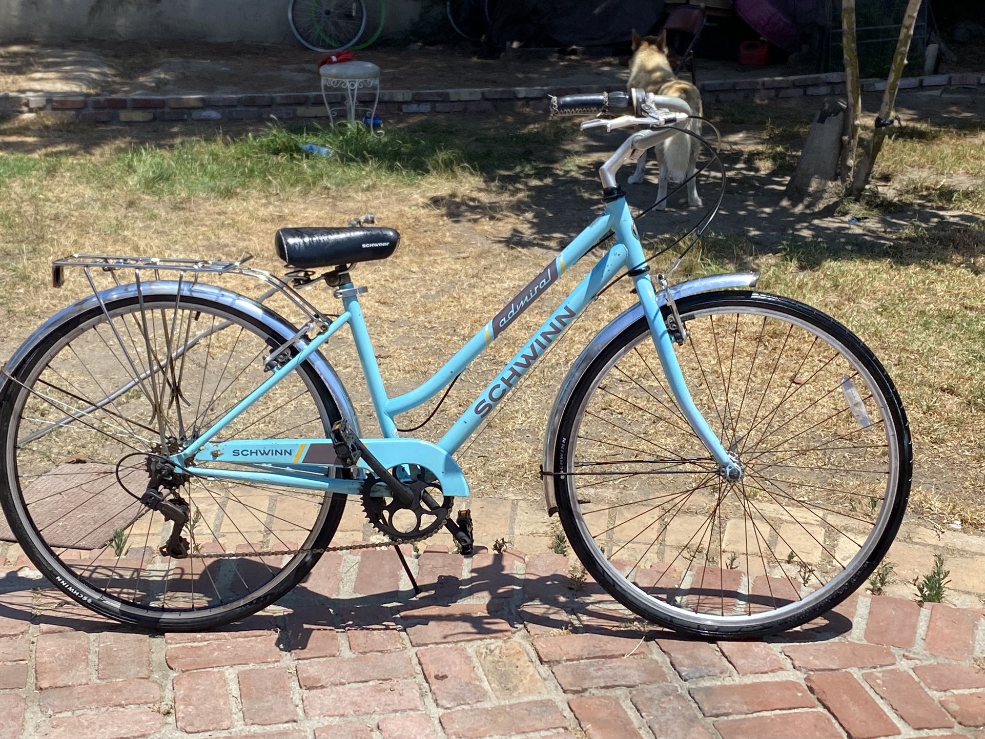 Schwinn Woman Bike Tires 700c Ready To Ride