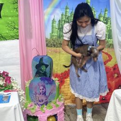 Wicked /Wizard Of Oz Theme Decorations