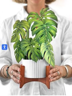 Monstera Pop Up Flower Bouquet With Stand And Blank Card Office Specialty Card 12in 80ct