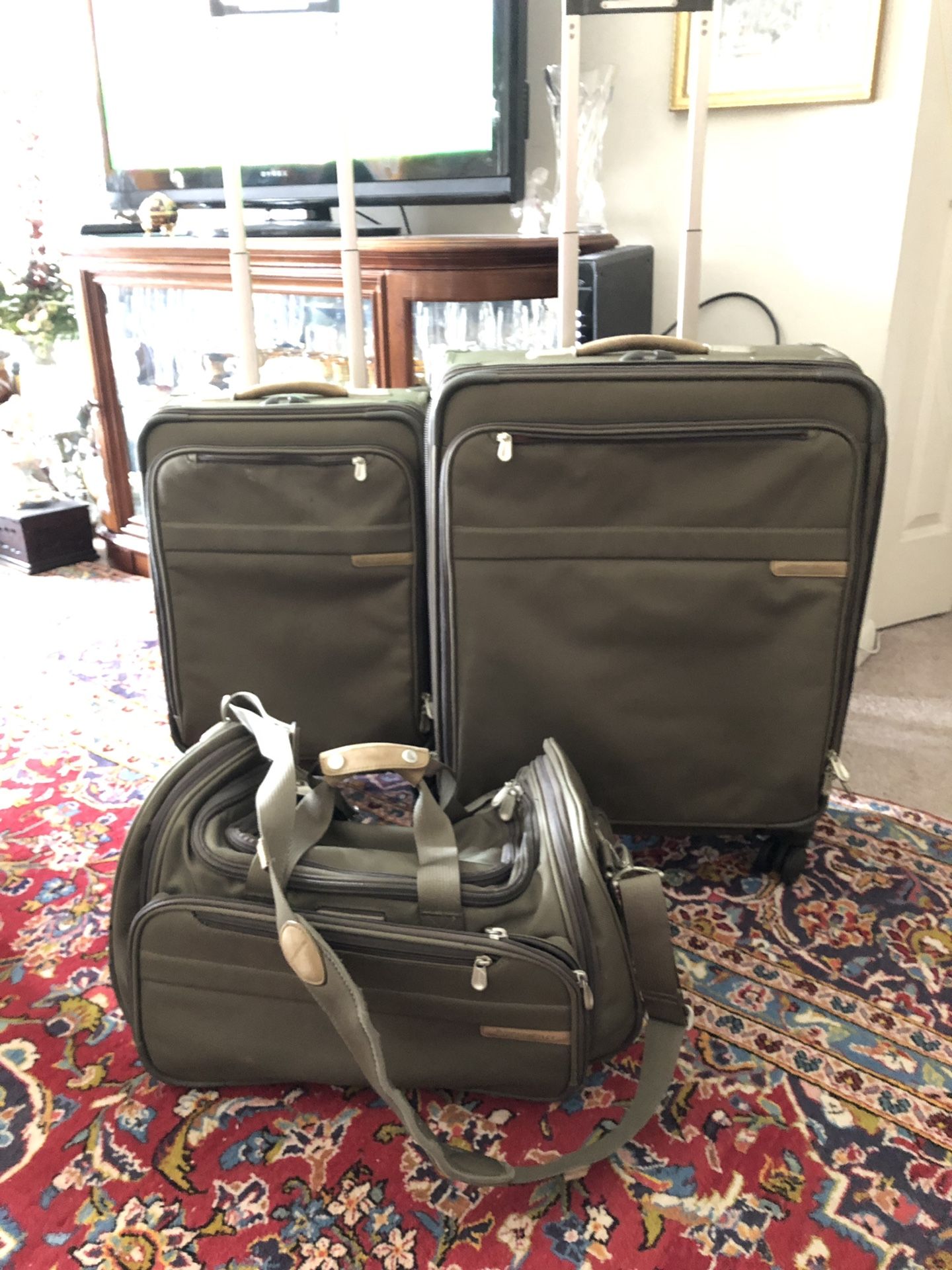 Briggs &Riley luggage set olive green