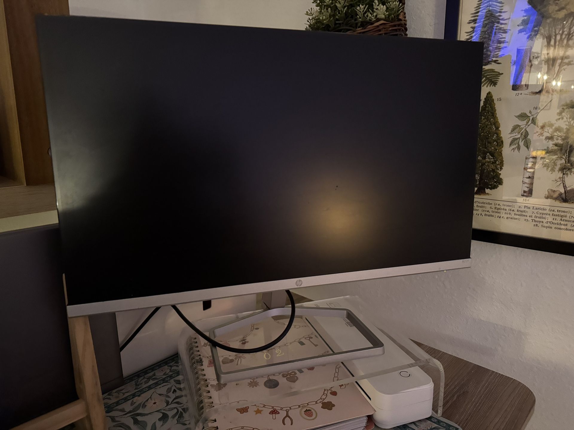 21 Inch HP Monitor Screen