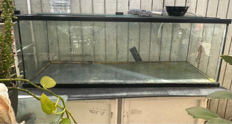 Large Glass Aquarium Fish Tank