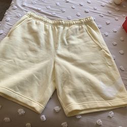 Nike Shorts Large