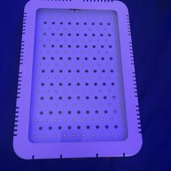 1000W Led Hire Light 