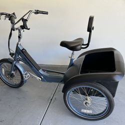 Pedego Electric Trike