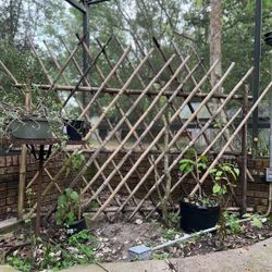 Bamboo Garden Trellis