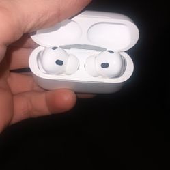 Apple Ear Buds 