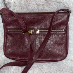 Fossil Crossbody Bag
