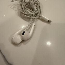 Apple Headphone EarPod