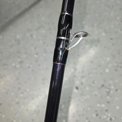 Phenix X16 Crankbait Rod