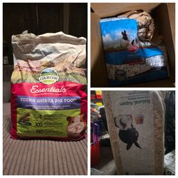 Guinea Pig Supplies