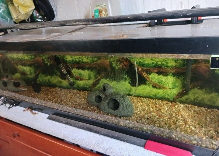 33 Gallon Aquarium