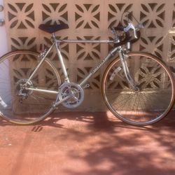 BIKE Bicicleta NISHIKI RIN 27’ 