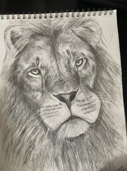 I Draw Pets And Animals 