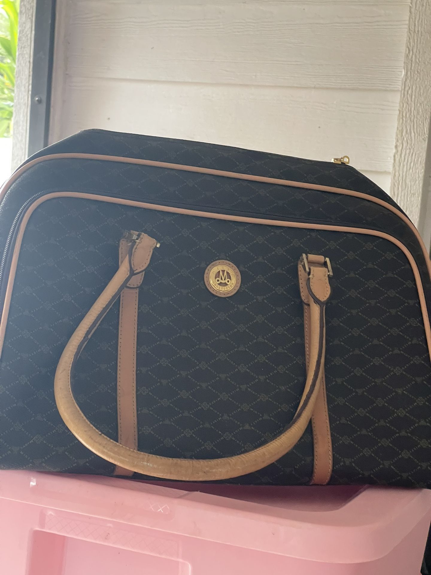 Dog Med To Small Carry On Bag