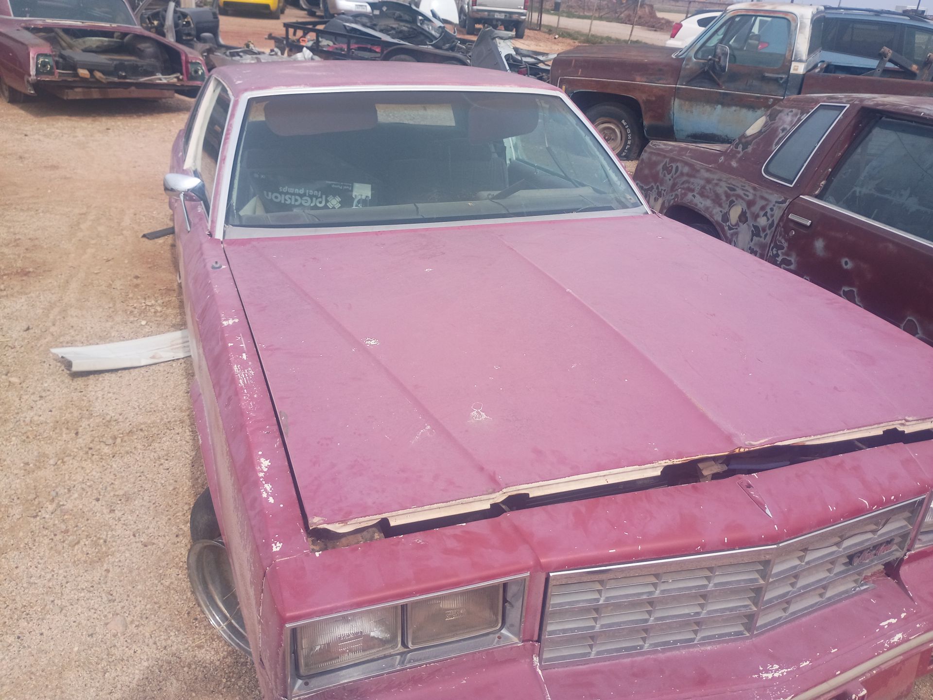 1984 Chevy motle Carlo