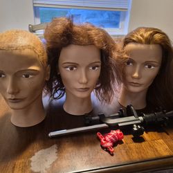 Cosmetology mannequin heads and stand