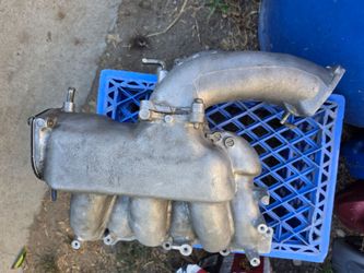 Maxima intake