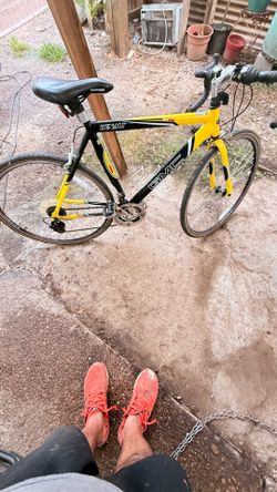Bicicleta