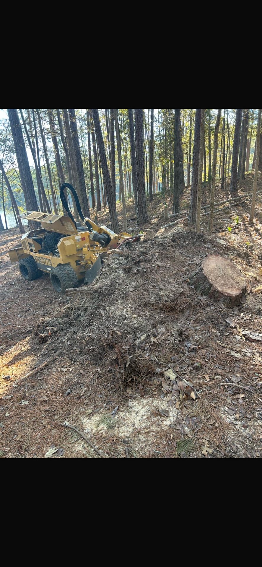 STUMP GRINDING