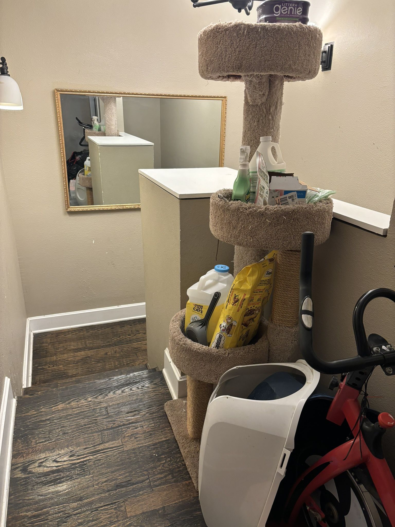 Cat Tower And Supplies