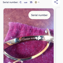 Cartier love bracelet