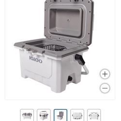 IMX 24QT COOLER