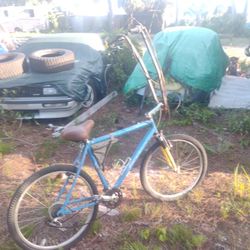 Specialized Mountain Bike