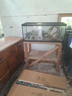 Lizard tank