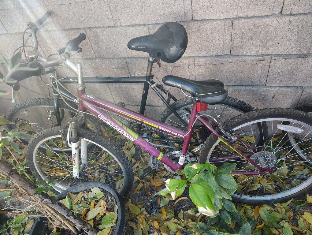Bikes $10 Each